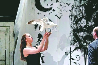 海鸥聊天隐私安全